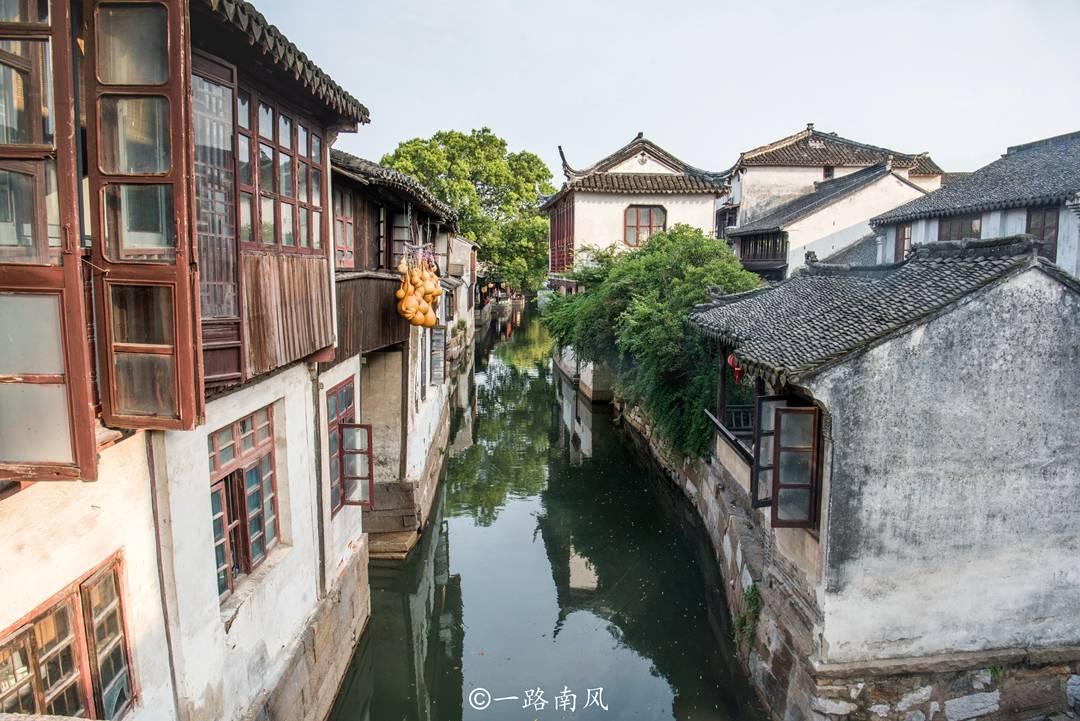穿越遗弃的森林